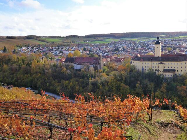 Blick vom herbstlich gefärbten "Himmelreich" hinunter nach Gundelsheim