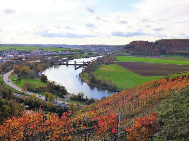 Gundelsheim - Wasser und Wein gehören zusammen