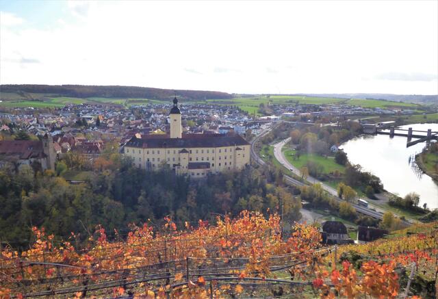 Gundelsheim - Schloss, Fluss und Wein