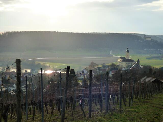 Blick aus den Weinbergen auf Schloss Horneck
