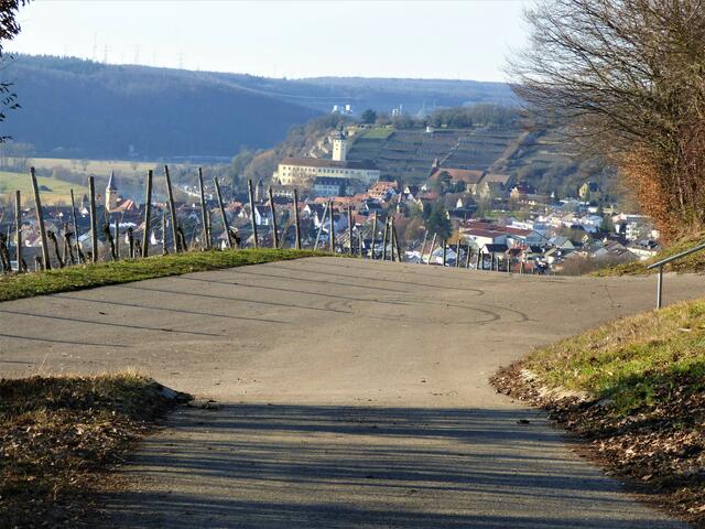 Blick aus den Weinbergen auf Schloss Horneck und Gundelsheim