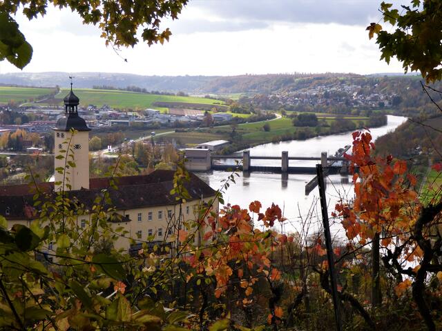 Stolz thront Schloss Horneck oberhalb des Neckars