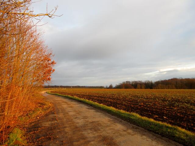 Herrliche Farben zaubert die Wintersonne "Am Galgen"