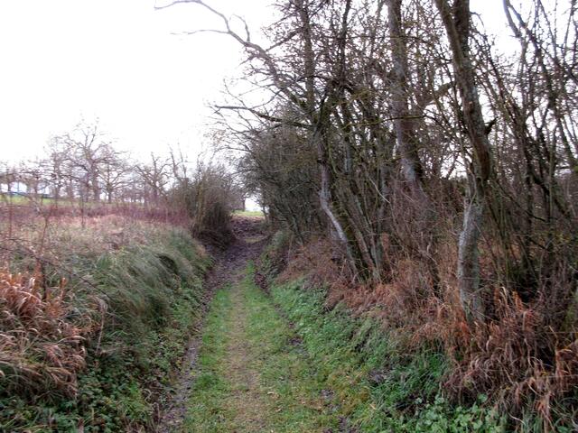 Nach dem Panoramaweg führte dieser Hohlweg über Streuobstwiesen hinauf zu den Weinbergen.