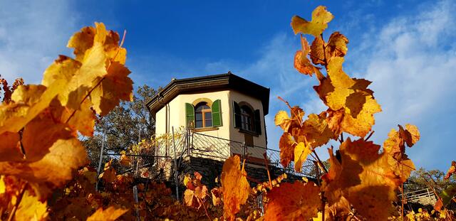 Pavillon im November
