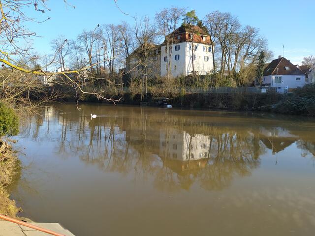 Schloss mit Schwan Wasserspiegelung