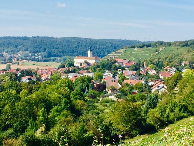 Blick von den Weinbergen auf Gundelsheim