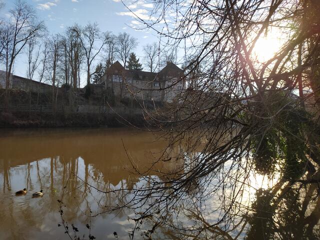 Schloss von der gegenüberliegenden Kocherseite gegen die Sonne mit Enten