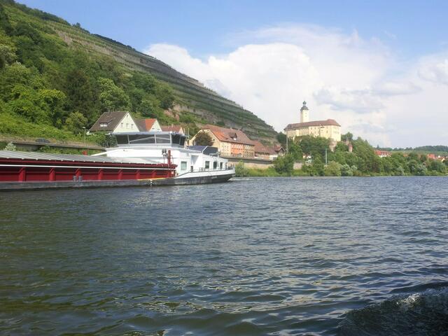 Gundelsheim, Blick auf das Schloß bei einer Neckarschiffahrt mit dem Patriot