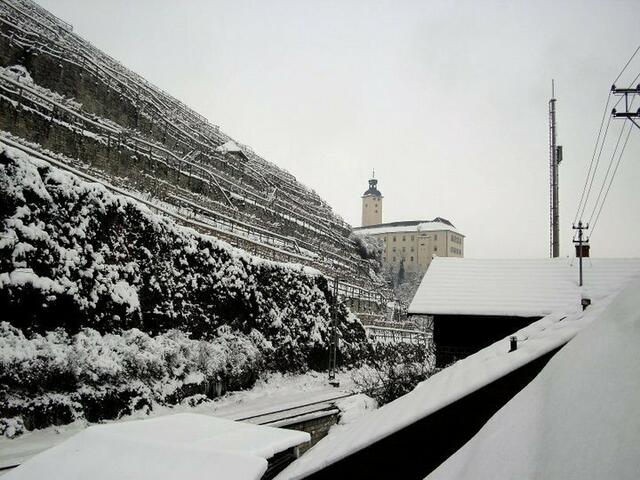 Winter 2010