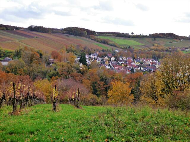Blick zurück - auf dem Weg zum Michaelsberg