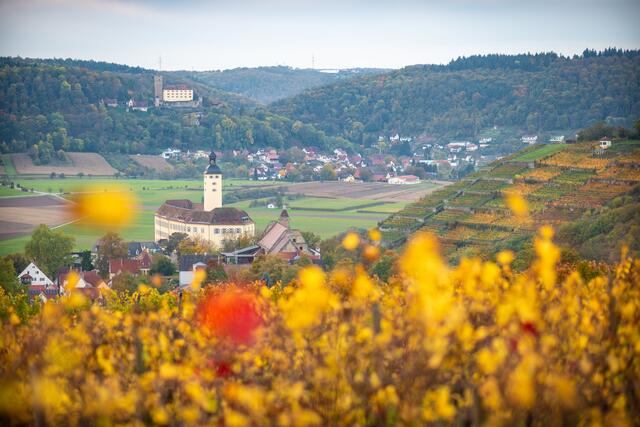Schloss Horneck zwischen Himmelreich und Guttenberg