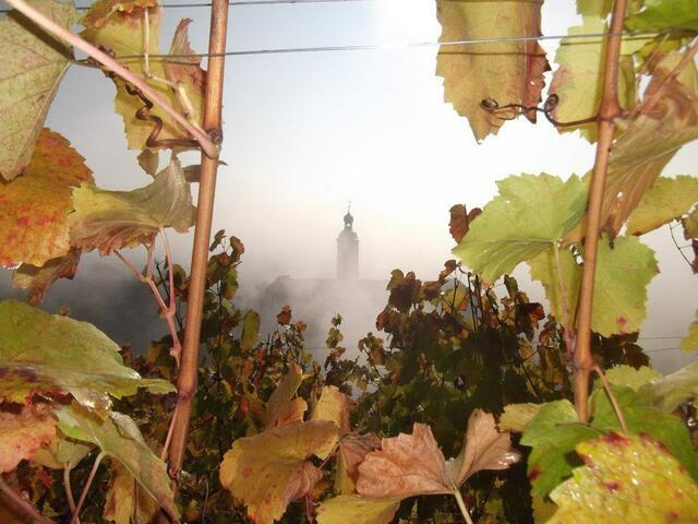 Ein Bild in den Frühen Morgenstunden Gundelsheim erwacht