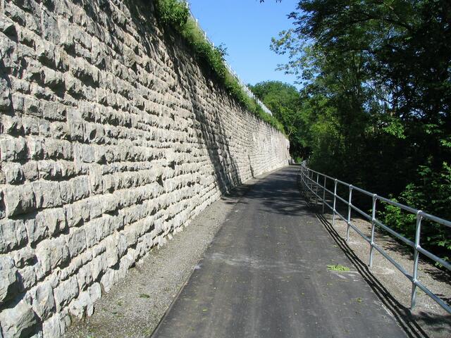Radweg 2008