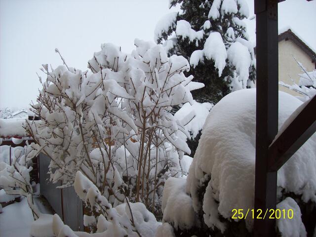 WEIHNACHTEN 2010 - DEGMARNER HÖHE