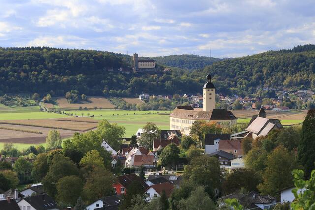 Ohne die beiden wäre Gundelsheim nur 'ein Städtchen' - Guttenberg und Horneck machen ihn einzigartig.