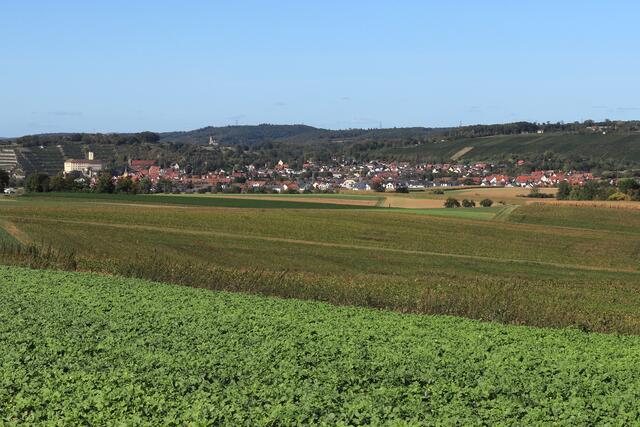 Blick auf das ganze Gundelsheim von den Feldern.
