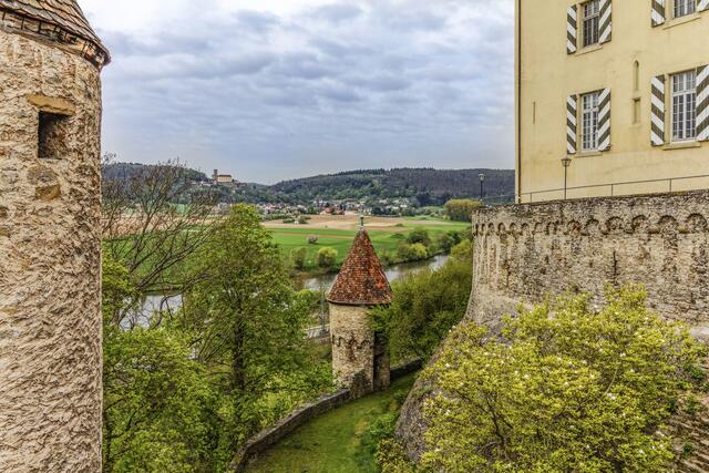 Blick auf die Burg Guttenberg.
