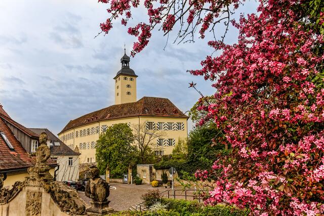 Schloss Horneck im Sommer.