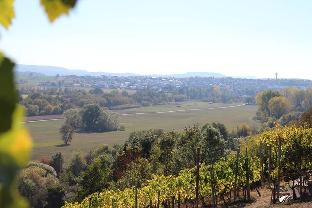 Oedheim im Abendrot aus Sicht des Weinbergs am Falkensteiner Hof