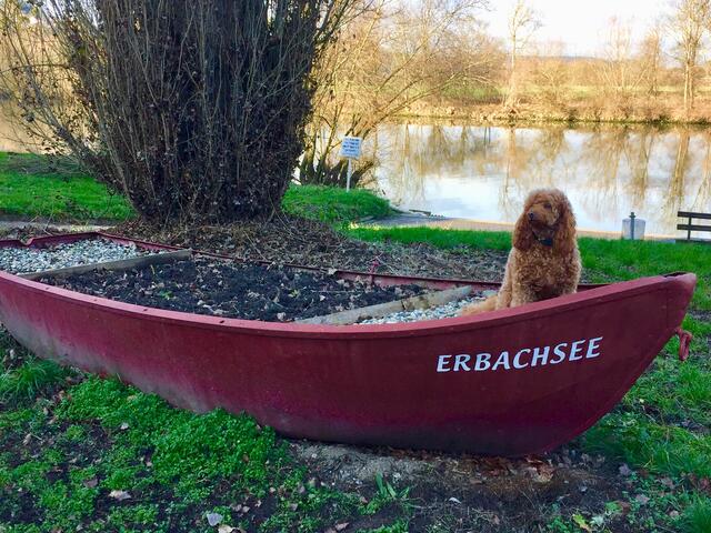 "Schiff Ahoi" kleine Emilie