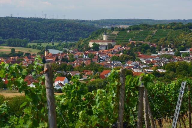 Weinberg; Stadt und Schloss