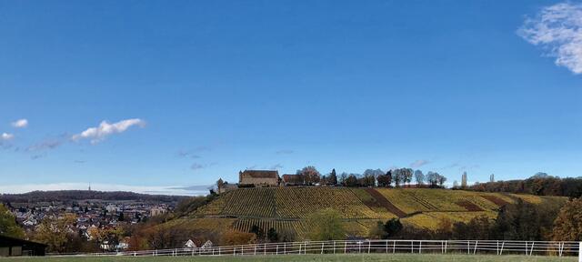 Sonntags-Spaziergang im Herbst