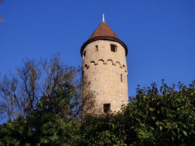 "Märchenturm" in Gundelsheim