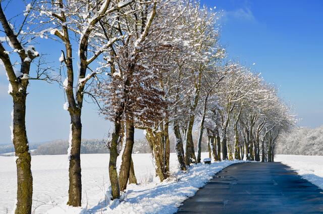 Weg nach Messbach mit Winteridylle