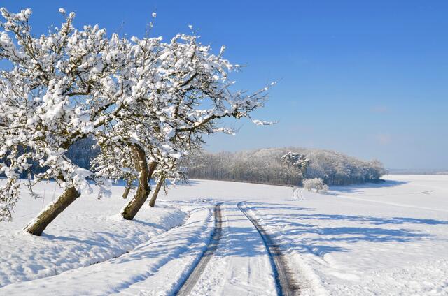 Richtung Messbach Hohebach Wintertraum