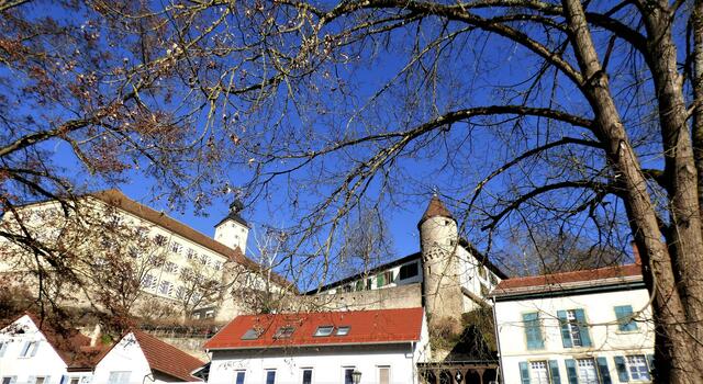 Blick hinauf zum Schloss Horneck an einem Frühlingstag im Januar