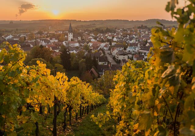 Herbst