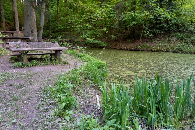 Koppenbrünnerle (Erlebnisweg)