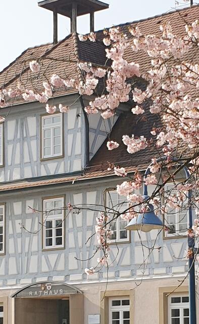 Rathaus