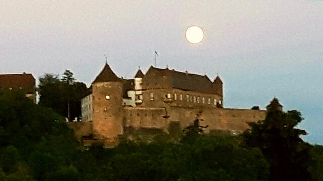 Stettenfels im Mondlicht