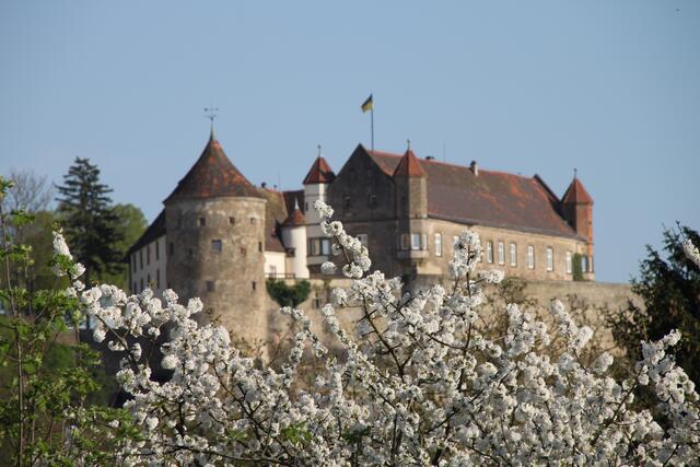 Frühling in Untergruppenbach