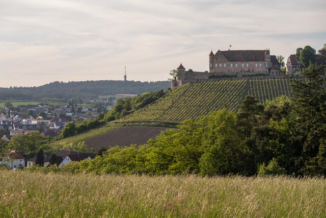 Burg Stettenfels