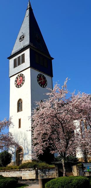 Frühling in Untergruppenbach