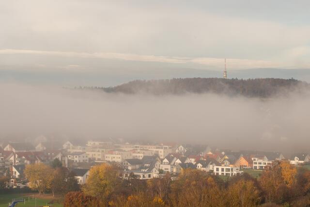 Talaue im Nebel