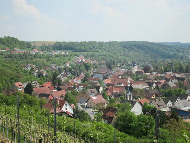 Dörzbach, Blick vom Weinberg