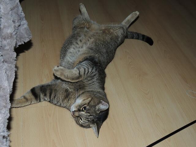 Jerry braucht eine Pause - auch spielen ist anstrengend, obwohl er die Angel liebt