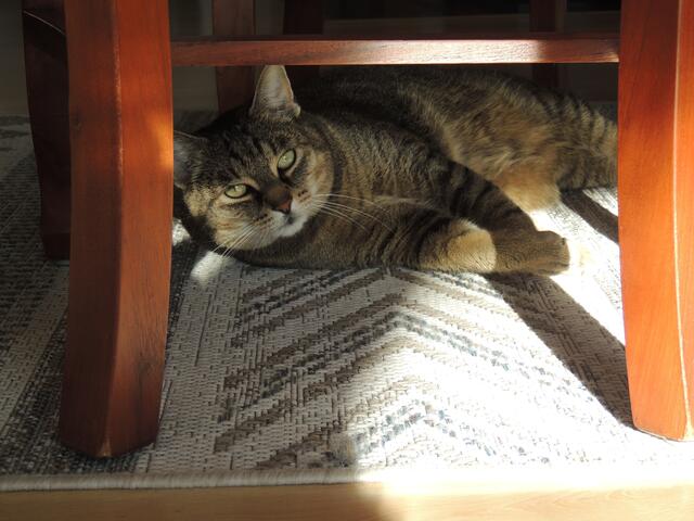 Was guckst du - fragt der Jerry