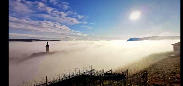 Horneck im Nebel.