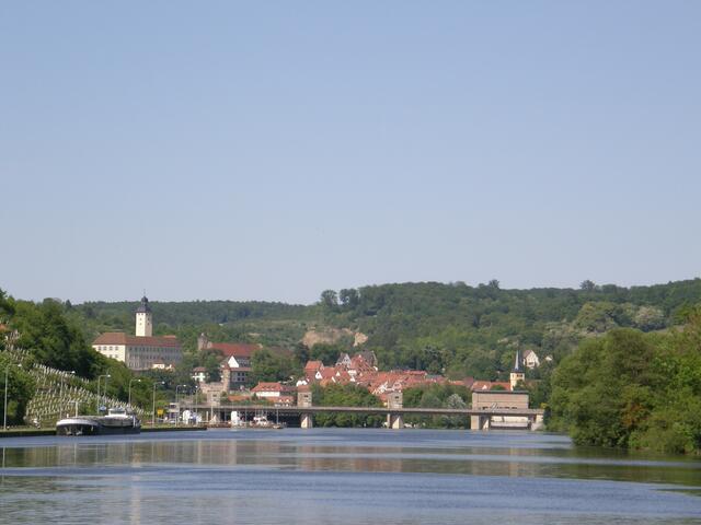 Blick über den Neckar auf Gundelsheim.