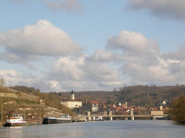 Blick über den Neckar bei Gundelsheim