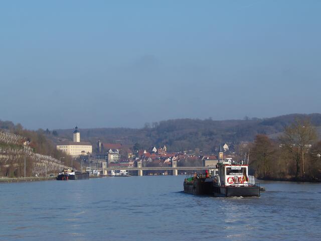 Blick über den Neckar nach Gundelsheim