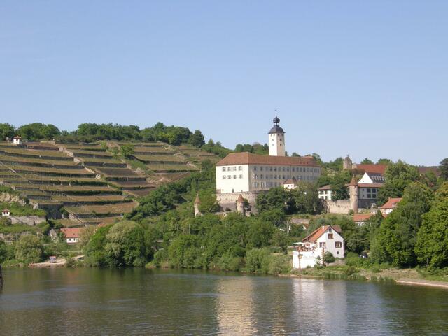 Blick auf Schloss Horneck in Gundelsheim