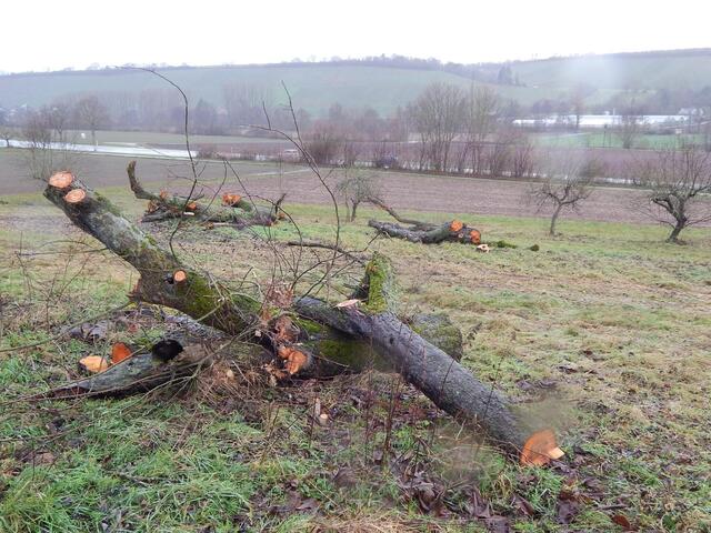 P.Kochert Gehrn- West