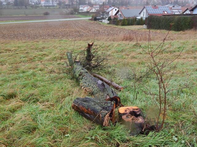 P.Kochert Gehrn-West