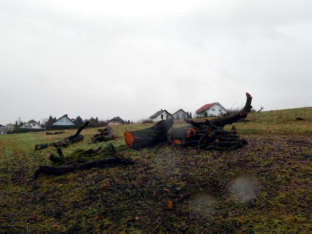 P.Kochert Gehrn-West